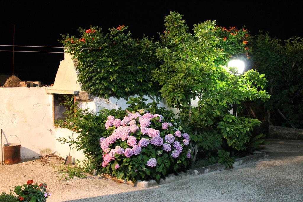 La Casa Del Nonno Bed & Breakfast Alberobello Dış mekan fotoğraf