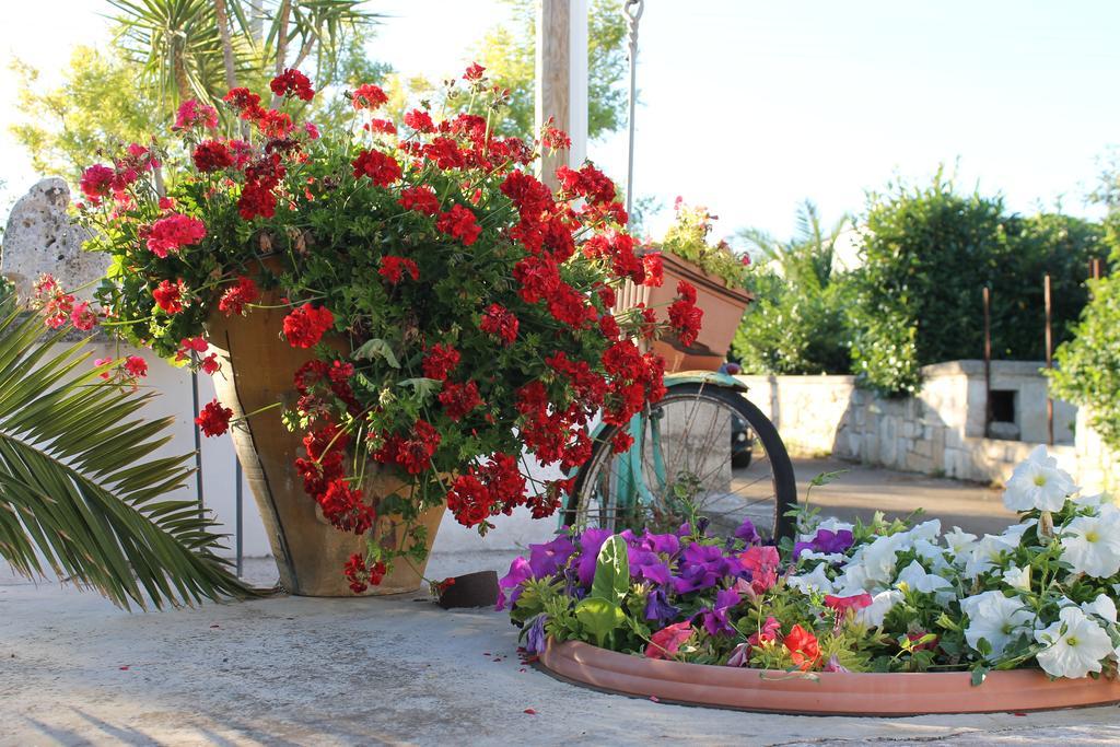 La Casa Del Nonno Bed & Breakfast Alberobello Dış mekan fotoğraf