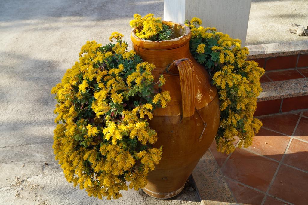 La Casa Del Nonno Bed & Breakfast Alberobello Dış mekan fotoğraf