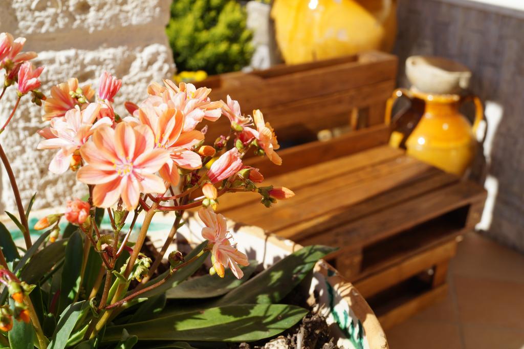 La Casa Del Nonno Bed & Breakfast Alberobello Dış mekan fotoğraf