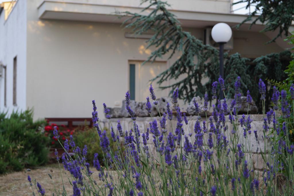 La Casa Del Nonno Bed & Breakfast Alberobello Dış mekan fotoğraf