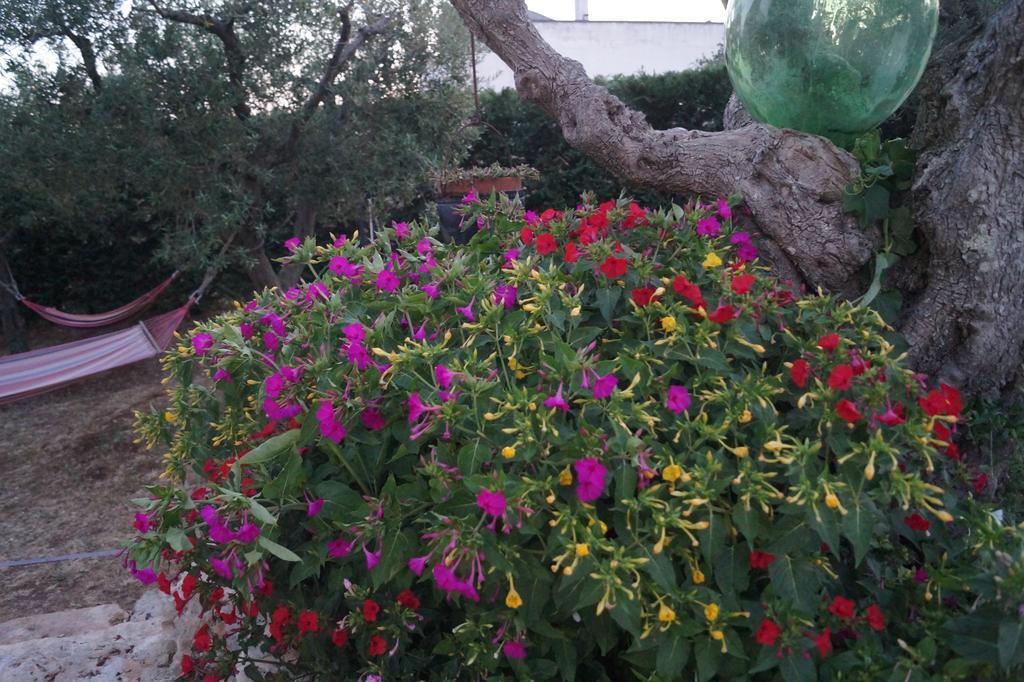 La Casa Del Nonno Bed & Breakfast Alberobello Dış mekan fotoğraf